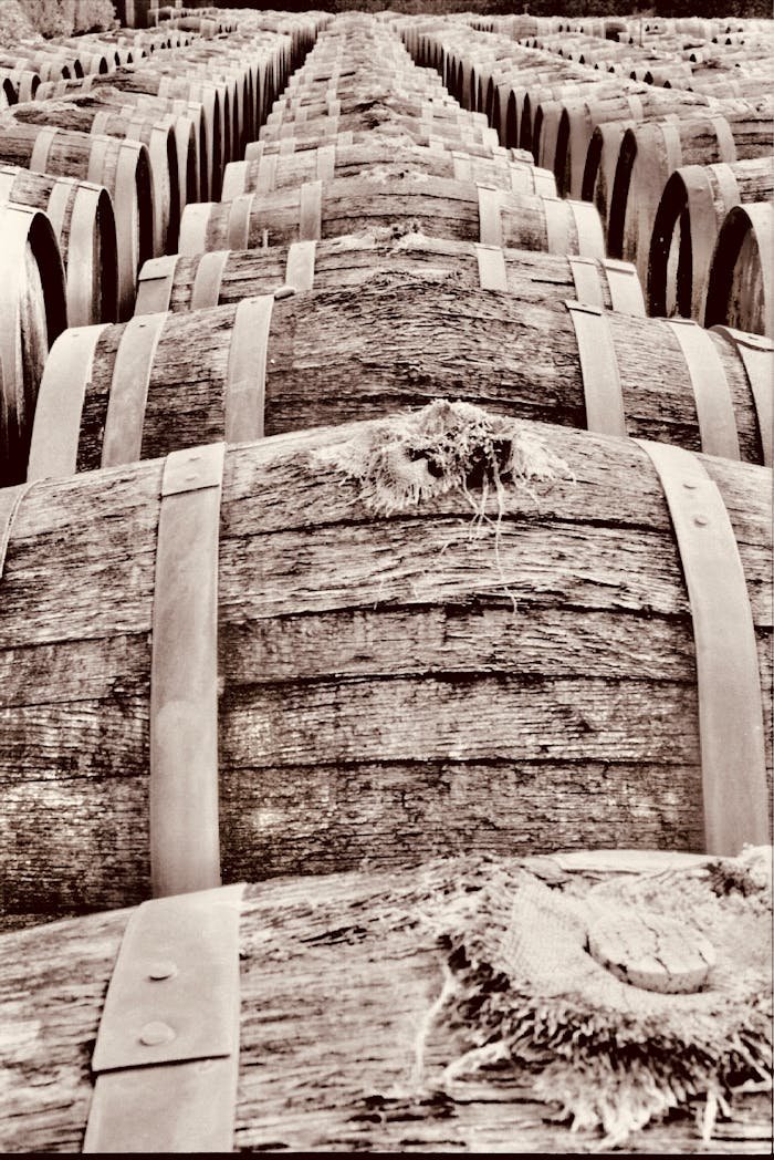 Explore rows of rustic wooden barrels in Marseillan, capturing the essence of vintage French winemaking.